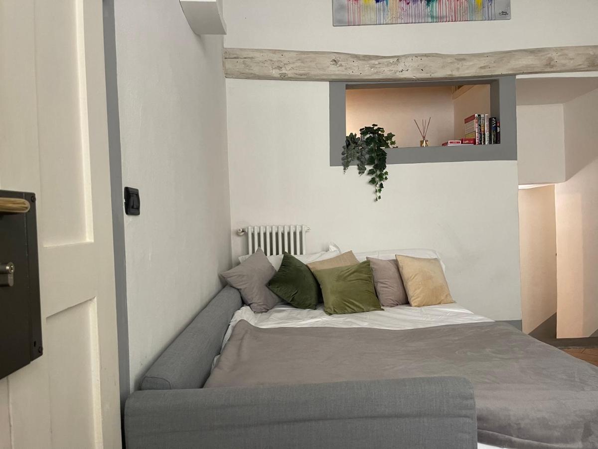 Unique And Antique Apartment Firenze Bagian luar foto